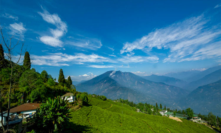 Darjeeling Pelling Tour Plan